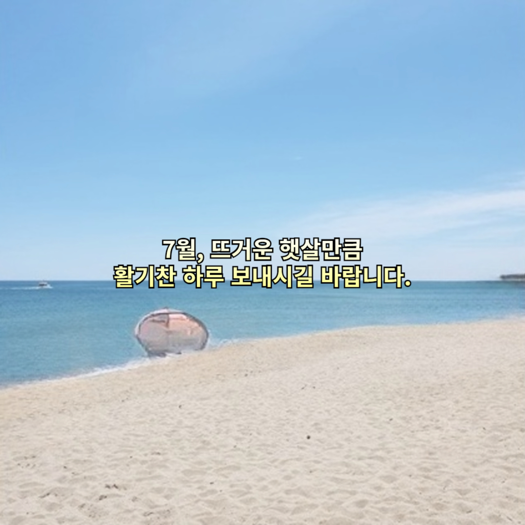 7월, 뜨거운 햇살만큼 활기찬 하루 보내시길 바랍니다.