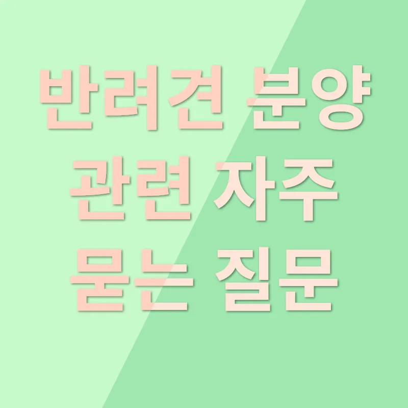 강아지 분양_4