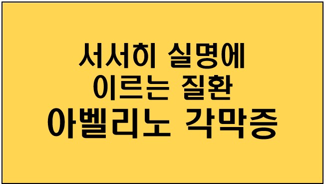  사진주의 [아벨리노 각막증] 서서히 실명에 이르는 질환! 증상,검사방법