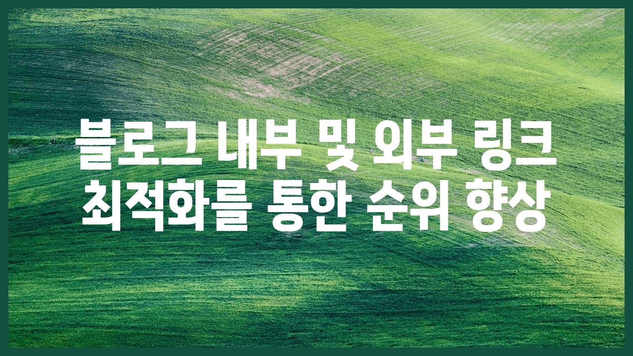 블로그 내부 및 외부 링크 최적화를 통한 순위 향상