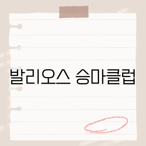 발리오스 승마클럽, 승마를 통해 얻을 수 있는 특별한 경험은?​