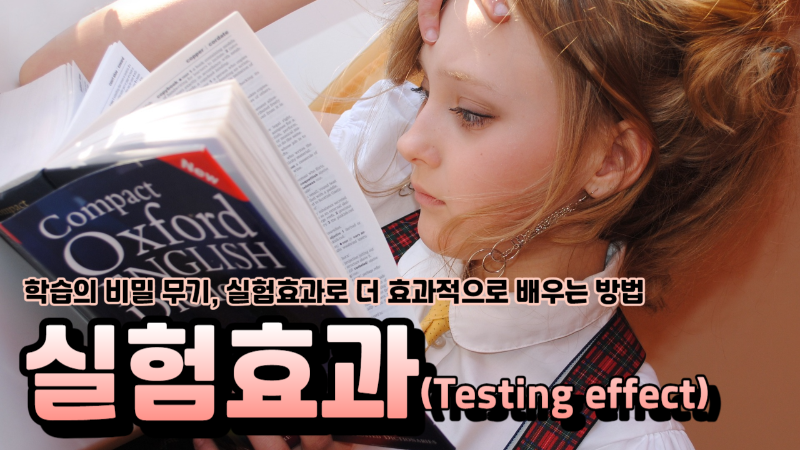  학습의 비밀 무기 실험효과(Testing Effect)로 더 효과적으로 배우는 방법
