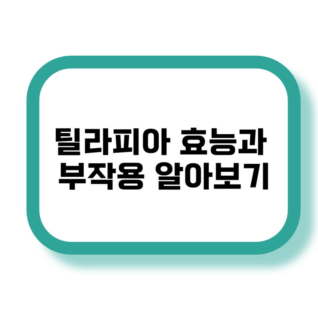 틸라피아 설명 사진