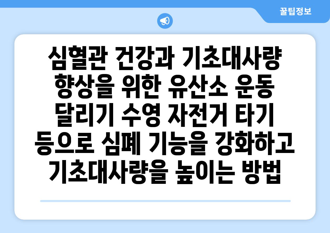 심혈관 건강과 기초대사량 향상을 위한 유산소 운동 달리기 수영 자전거 타기 등으로 심폐 기능을 강화하고 기초대사량을 높이는 방법