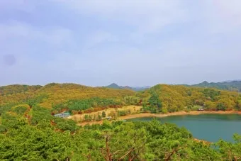 청남대 홈페이지 예약접수 입장료 주차비 총정리_18