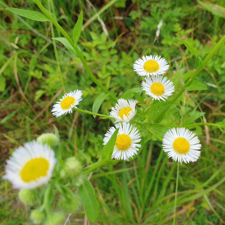 1박3식 [거제도 여행] 이수도 38