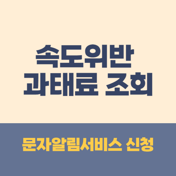 속도위반 실시간 조회