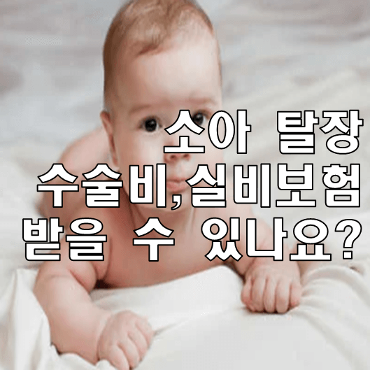 실손 다이렉트 아기 탈장수술 실손보험은 이제 필수입니다. 2