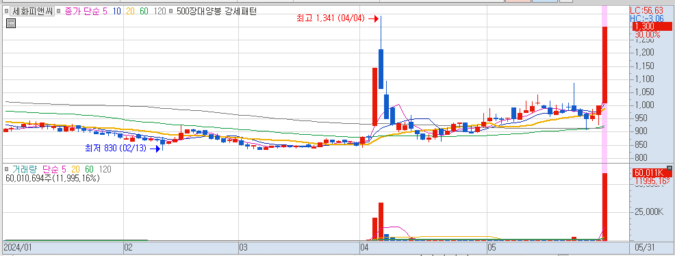 5월 31일 상한가 종목 세화피앤씨 일봉 차트