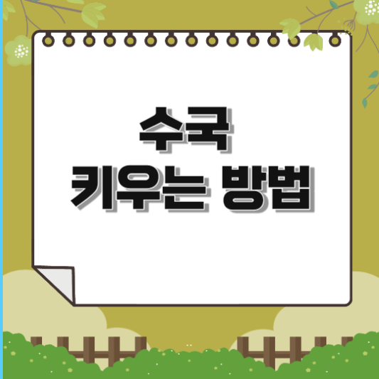  수국 키우는 방법(특징, 물주기, 분갈이, 꽃색바꾸기, 관리방법)