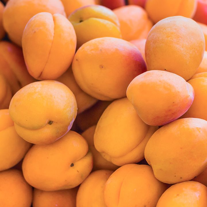  살구 영양성분, 효능 10가지 & 부작용, 하루 섭취량