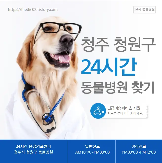  청주시 청원구 24시간 동물병원 근처 야간 일요일 고양이 병원 찾기