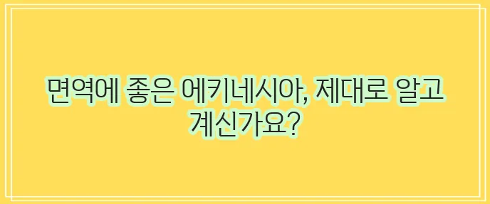 에키네시아 효능과 부작용,섭취방법