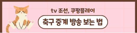 2023년 10월 17일 대한민국 베트남 축구 평가전