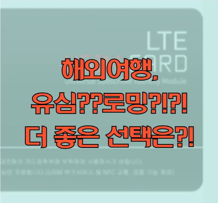 로밍과 유심에 관한 글 보러 가기 링크 사진