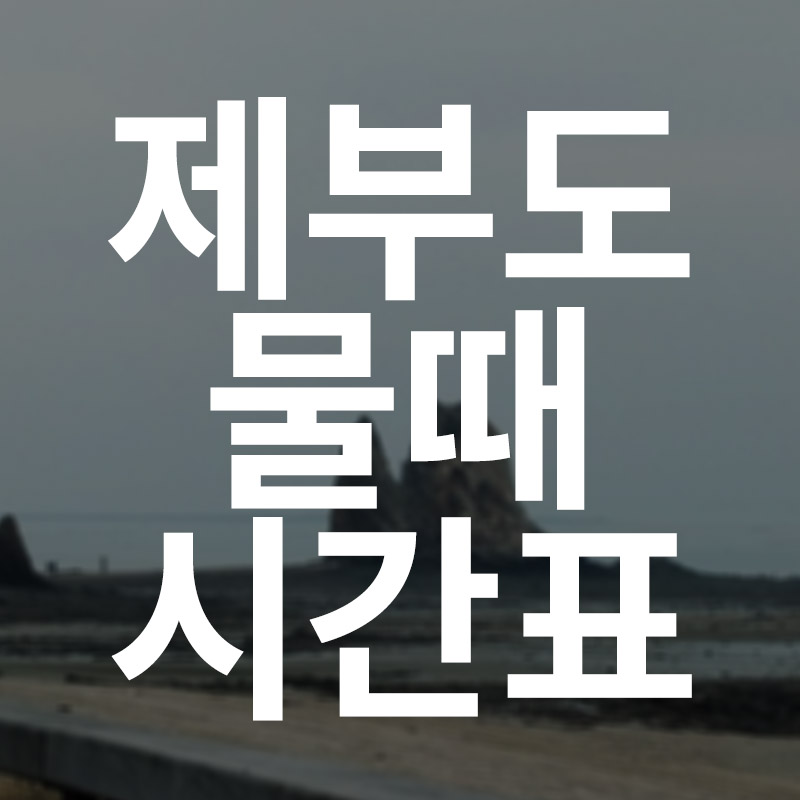  제부도 물때 시간표 2021년 전체 시간표