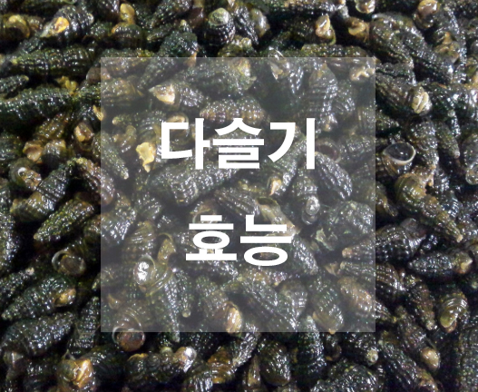  다슬기 효능