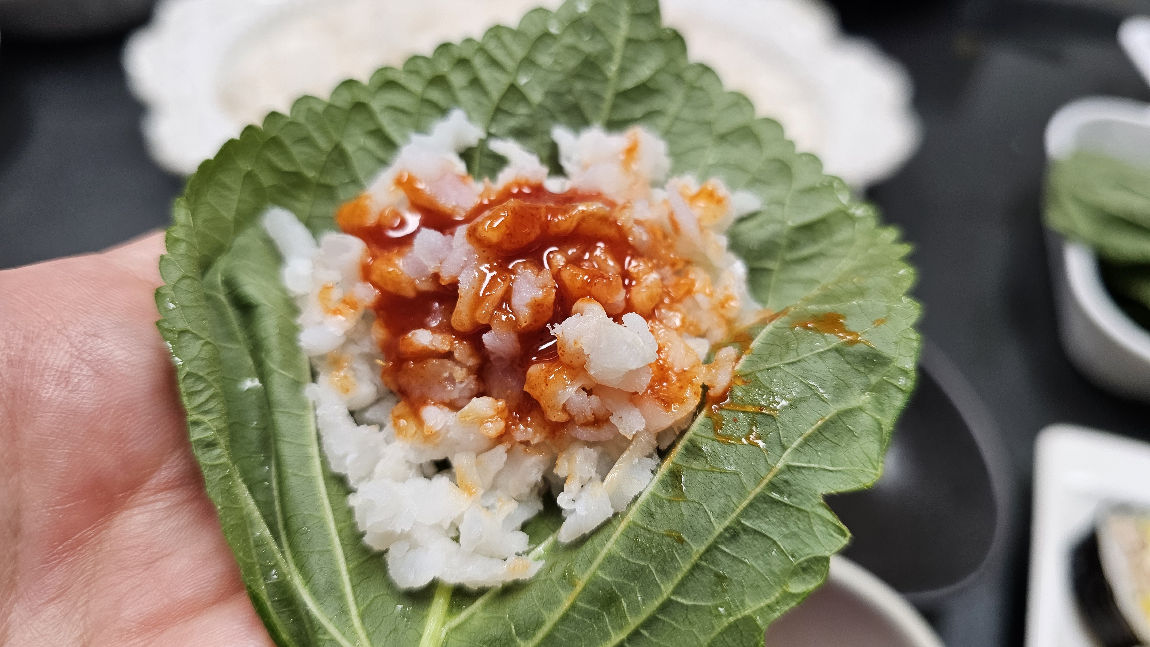 아나고회