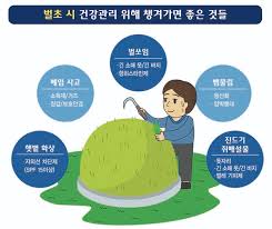 벌초대행 가격비교