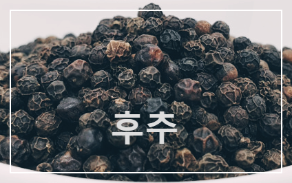 세계적으로 많이 사용되는 조미료 후추(Black pepper)에 대해 알아보자!