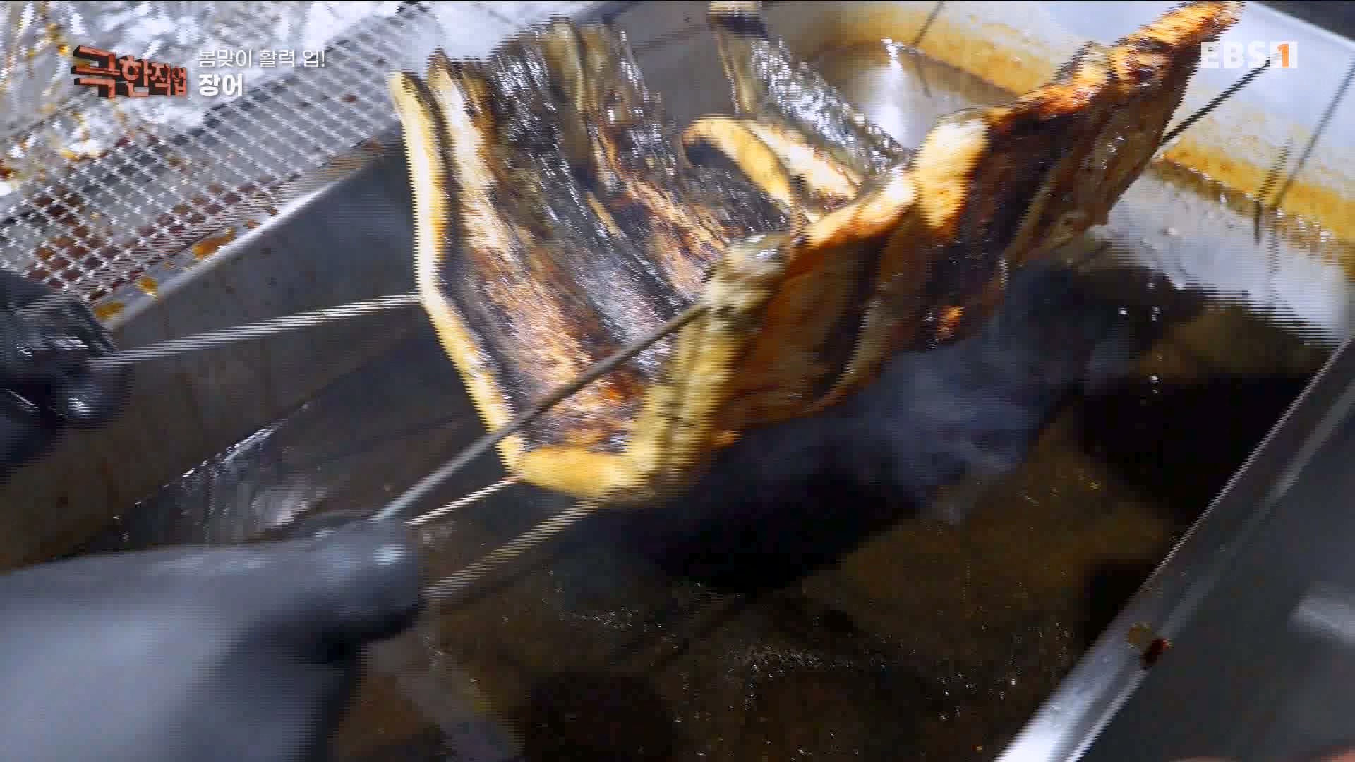 [극한 직업] 장어와 대왕문어 240316.mp4_20240317_153632.195.jpg