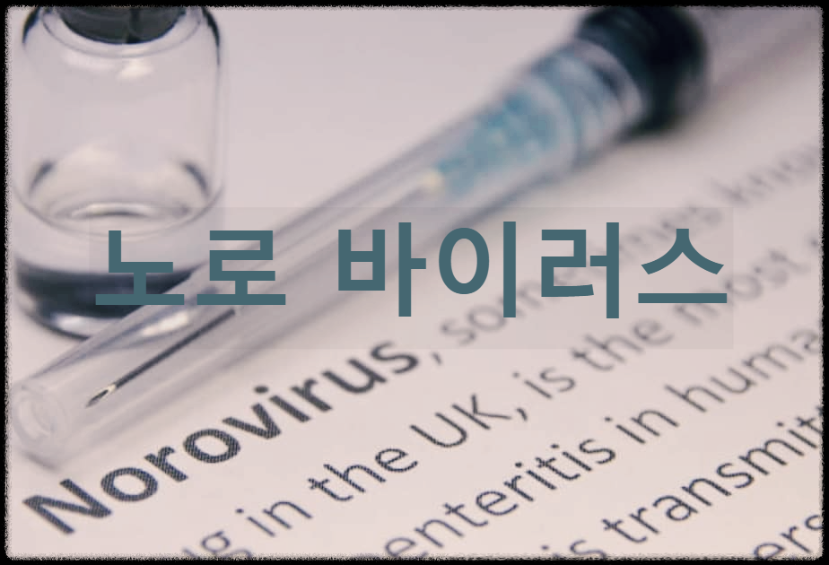  노로 바이러스 : 급성위장염을 일으키는 비세균성 바이러스