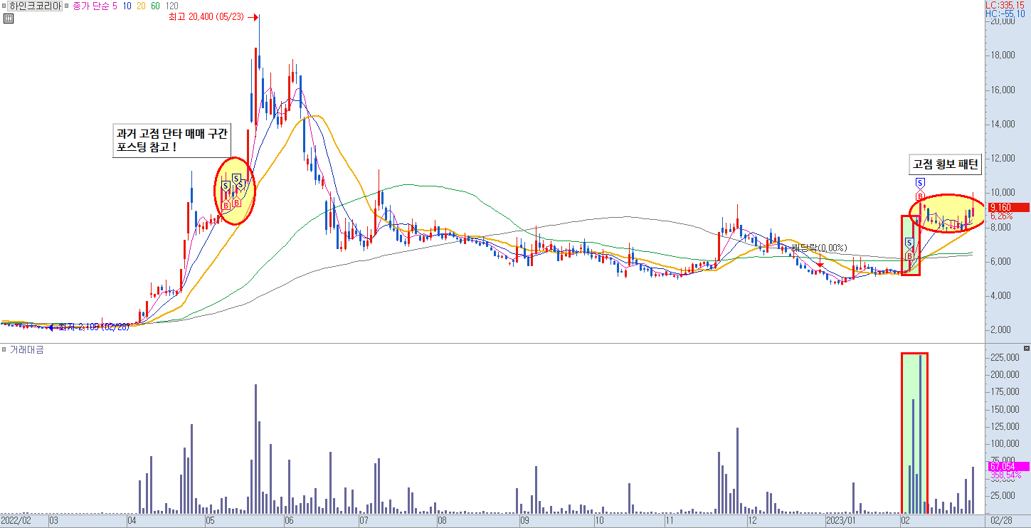 하인크코리아 일봉 차트