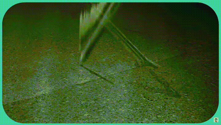  소드 아트 온라인 명장면 추천 - 엘리시제이션 오디널 스케일