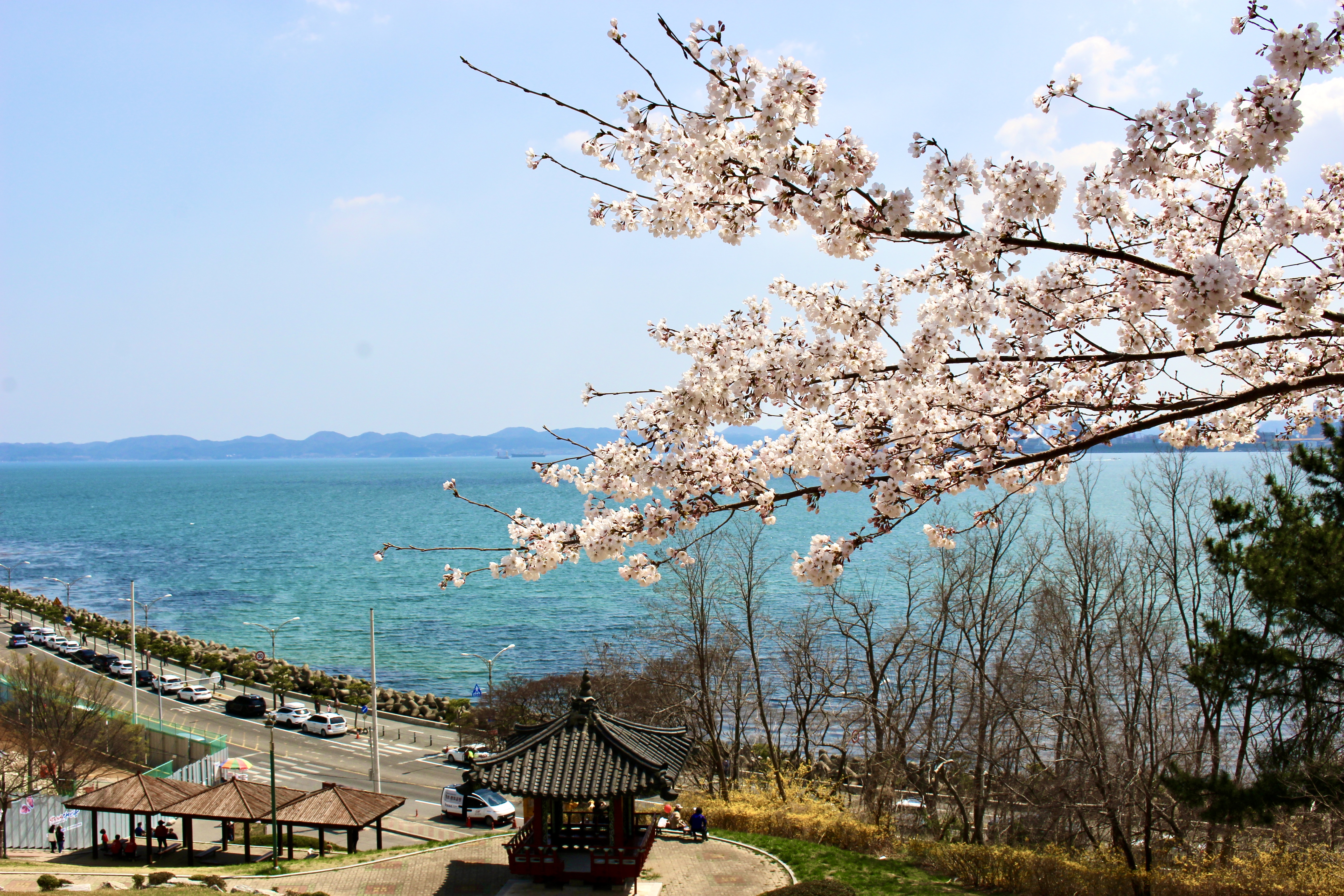 나홀로 포항 여행(환호공원, 이가리 닻 전망대)