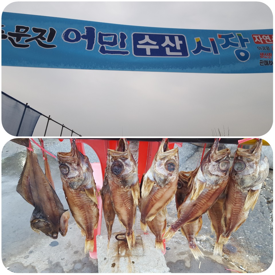  <강원도> 초당동 고택    주문진 수산시상   낙산사