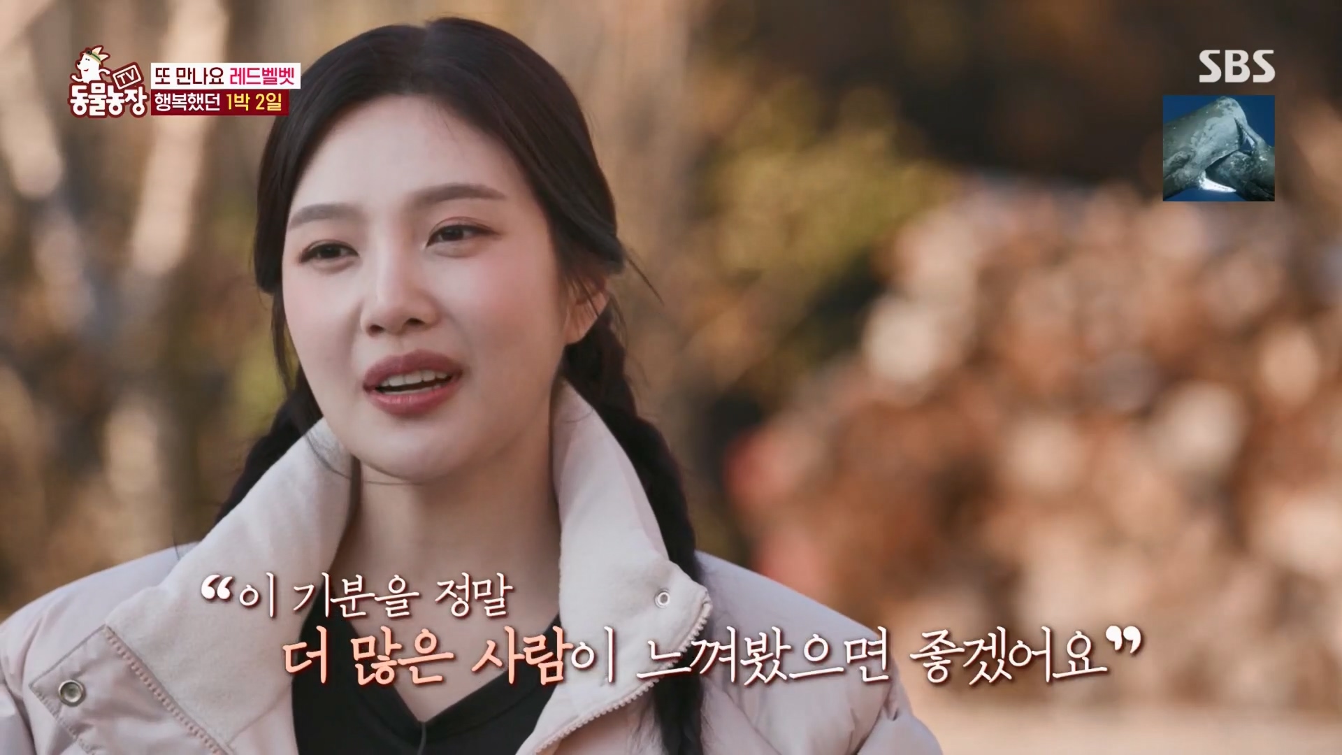 TV 동물농장.E1148.231203p.H264-F1RST.mp4_20231203_165651.996.jpg
