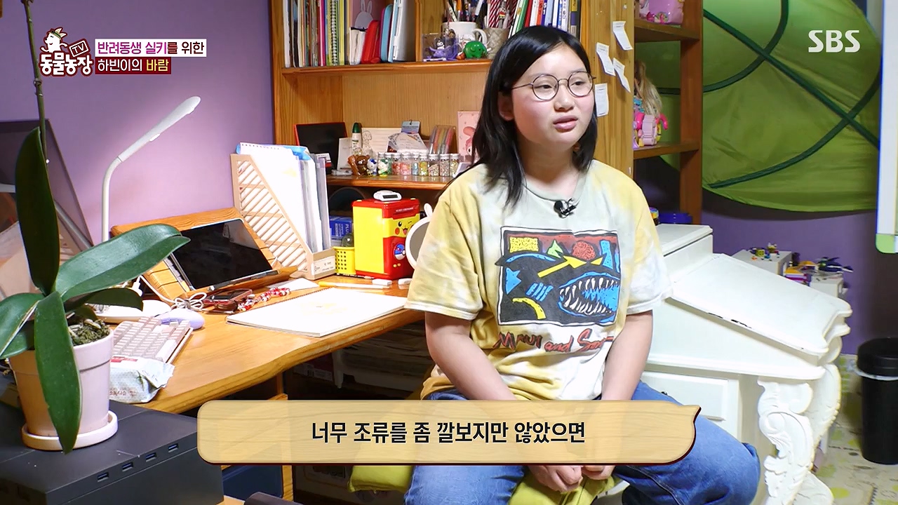 TV 동물농장.E1175.240610p-NEXT.mp4_20240609_160255.829.jpg