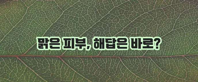 얼굴 기미 주근깨 잡티 없애는 방법 확실하게 알아봐야죠!