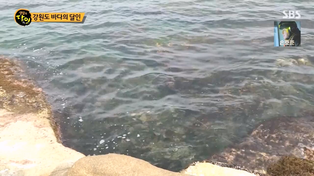 생활의 달인.E899.230732p-NEXT.mp4_20230801_213225.516.jpg
