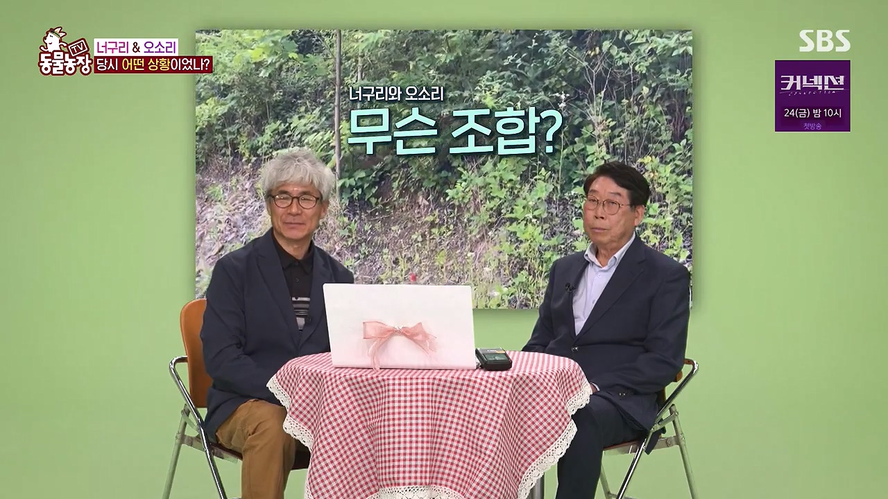 TV 동물농장.E1172.240520p-NEXT.mp4_20240519_163609.376.jpg