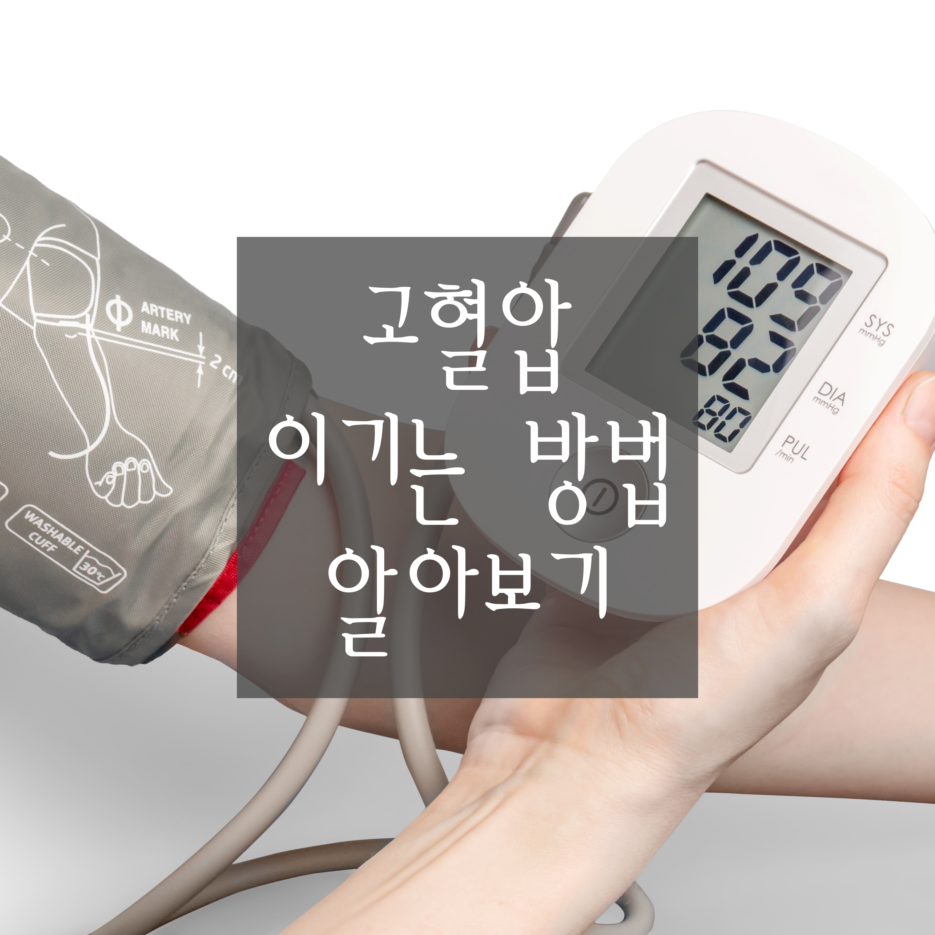  [고혈압 관리 방법] 혈압 낮추는 방법, 혈압에 좋은 음식에 대해 알려드립니다. (고혈압이란?)