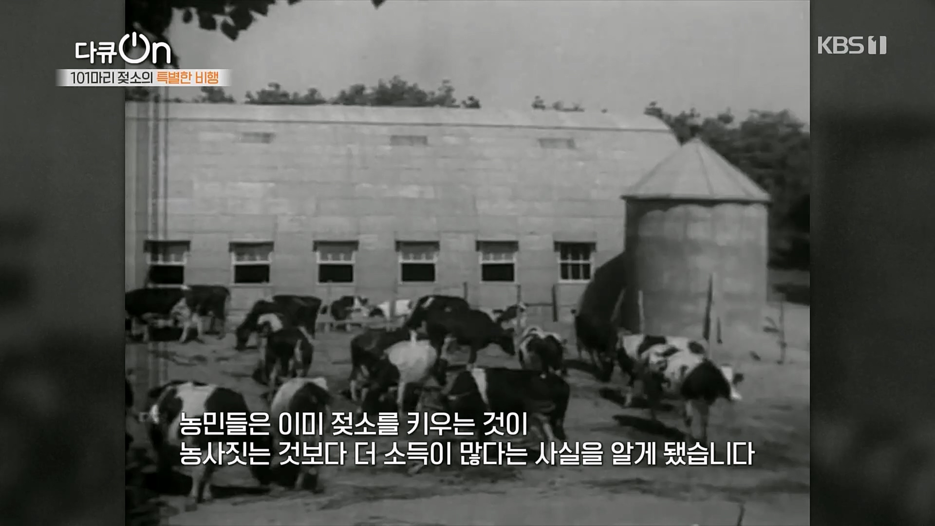 다큐 On.E184.230203p.H264-F1RST.mp4_20230211_175640.084.jpg