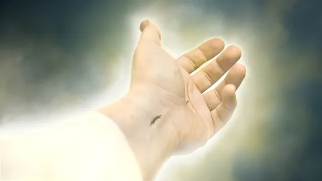 부활 삼종기도 일반 삼종기도 차이_3