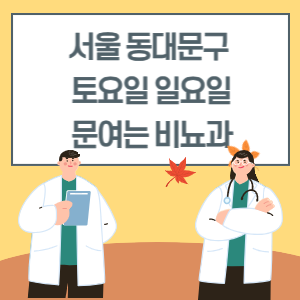 서울 동대문구 토요일 일요일 비뇨기과 진료 병원 리스트