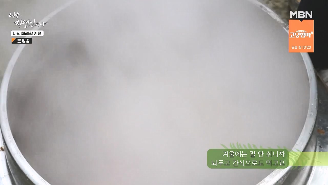 나는 자연인이다.E587.240104p-NEXT.mp4_20240104_195902.797.jpg