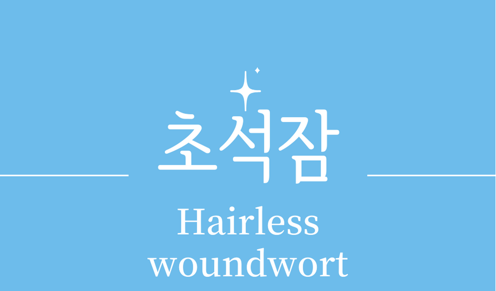 &#39;초석잠(Hairless woundwort)&#39;