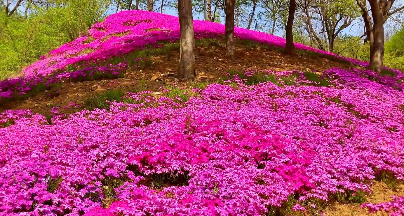 진천만뢰산-자연생태공원
