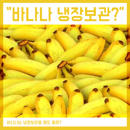 바나나 냉장보관 과연 괜찮을까요?