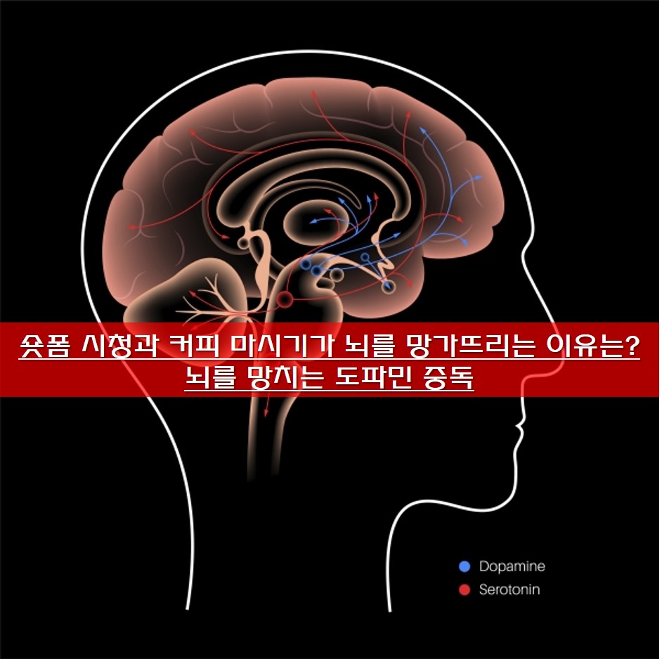 숏폼 시청과 커피 마시기가 뇌를 망가뜨리는 이유는? 뇌를 망치는 도파민 중독
