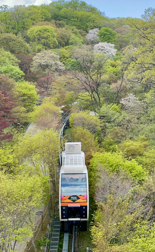 2025 화담숲 봄시즌 예매, 모노레일