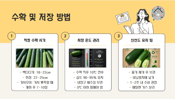 오이 재배 법