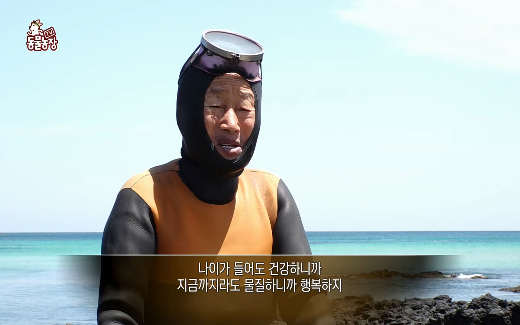 TV 동물농장.E1073.220612p.H264-F1RST.mp4_20220612_180431.381.jpg