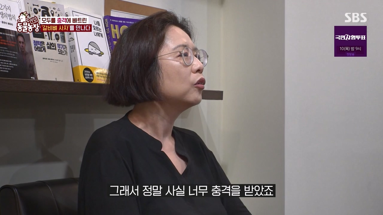 TV 동물농장.E1131.230731p-NEXT.mp4_20230730_190955.185.jpg