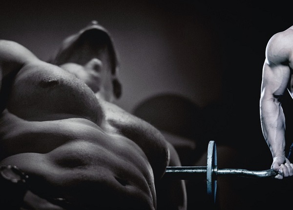 근육 운동 효과를 높이는 보조 식품&#44; 단백질 대용 식품