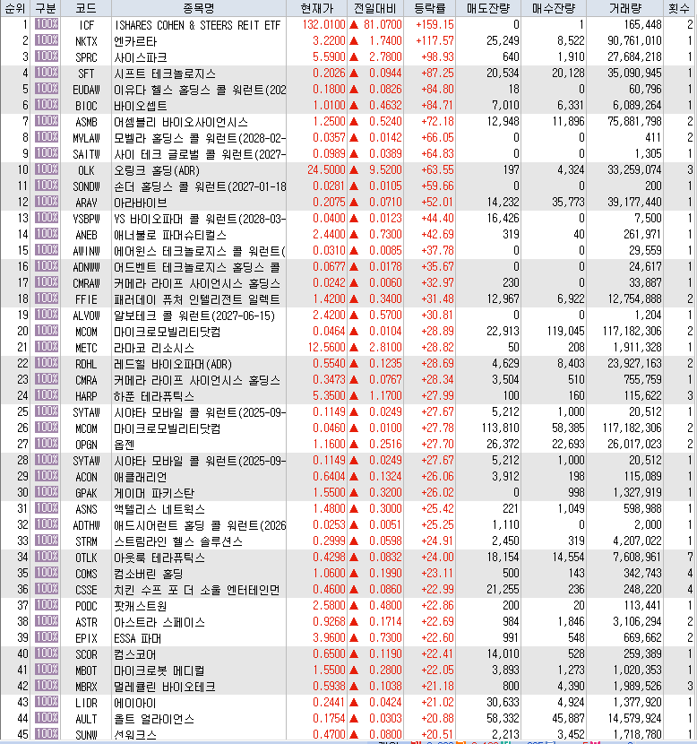  10월17일 미국주식 상승률 상위 종목 TOP 300